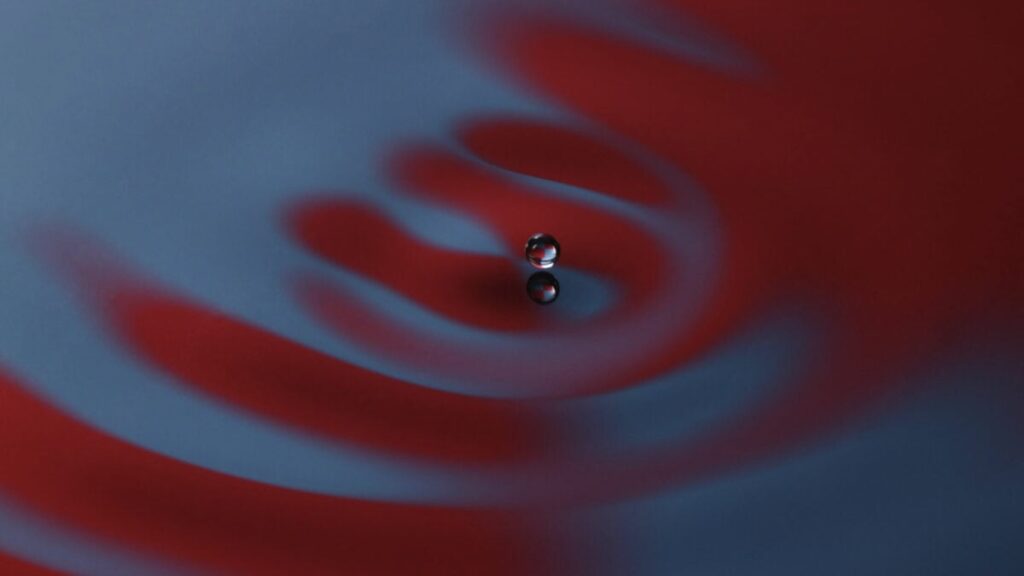 After 100 Years of Quantum Mechanics, Physicists Still Can’t Agree on Anything