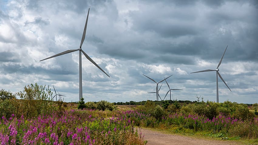 SSE unveils £33bn plan to upgrade UK electricity networks with £2bn investor backing