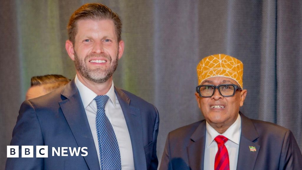 Somaliland president meets Eric Trump and Israel’s Isaac Herzog at Davos